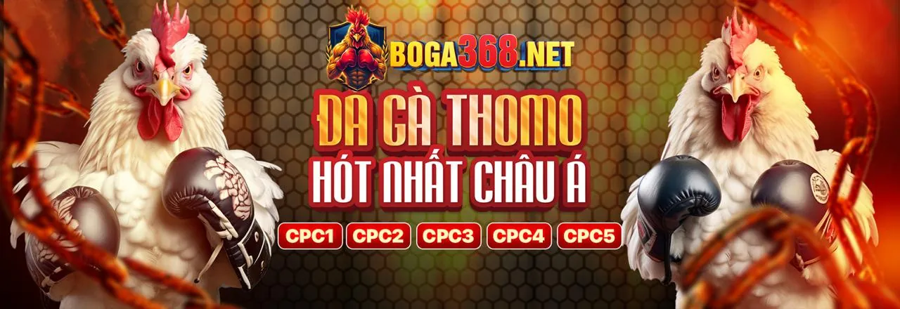 Đá gà trực tuyến hấp dẫn tại ứng dụng 66f